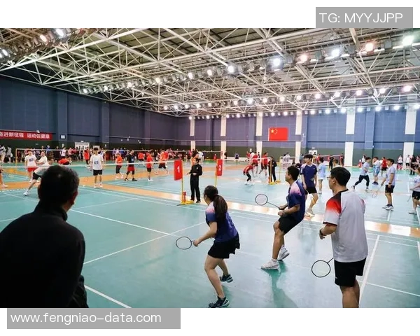 陈娜独家分享羽毛球技巧与心得助你提升竞技水平与乐趣